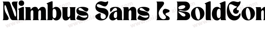 Nimbus Sans L BoldCondItal字体转换